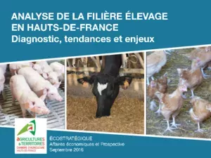 Filière &Co - Elevage en Hauts-de-France : Diagnostic, tendance et enjeux.