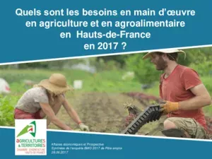 Quels besoins en main d'oeuvre en agriculture et en agroalimentaire en Hauts-de-France en 2017 ?