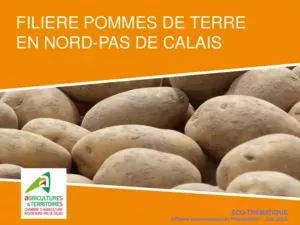 Filière &Co - Pommes de terre en Nord Pas de Calais