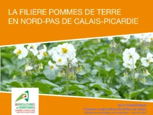 Filière &Co - Pommes de terre en Nord-Pas de Calais - Picardie