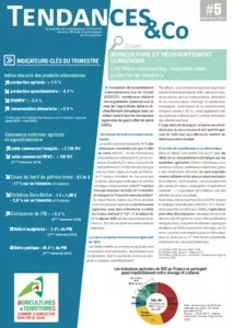 Bulletin Tendances &Co de décembre 2015