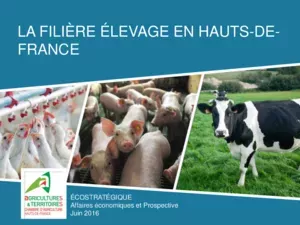 Filière &Co - Elevage en Hauts-de-France : Principaux chiffres