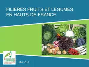 Filière &Co - Fruits et légumes en Hauts-de-France