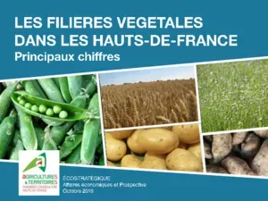 Filière &Co - Filières végétales dans les Hauts-de-France : Principaux chiffres