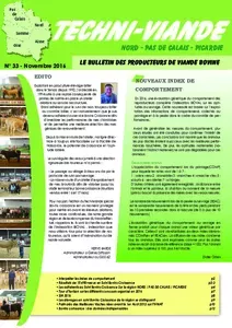 Techniviande n°33 - Novembre 2016