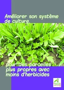 Améliorer son système de culture, pour des parcelles plus propres avec moins d'herbicides