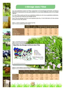 L'élevage dans l'Oise