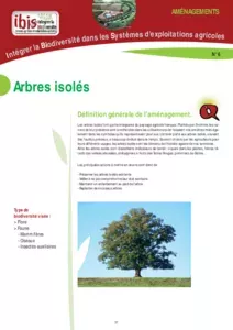 Arbres isolés