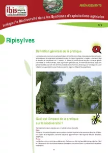 Ripisylves