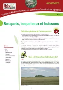 Bosquets, boqueteaux et buissons