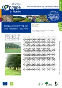 Formation et taille des arbres têtards