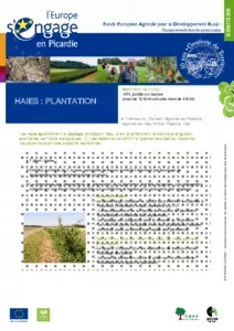 Haies : plantation