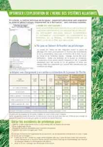 Optimiser l'exploitation de l'herbe des systèmes allaitants