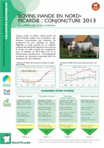 Bovins viande en Nord Picardie : conjoncture 2013 - les chiffres clés et leur évolution