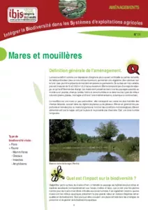 Mares et mouillères