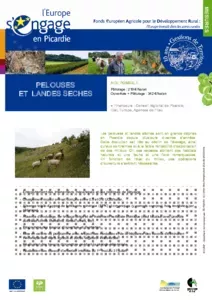 Pelouses et landes sèches