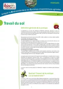 Travail du sol