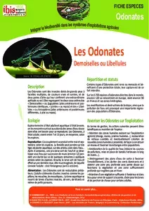 Les odonates