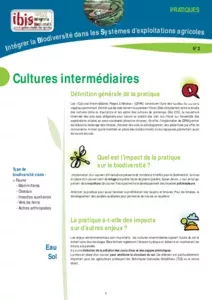 Les cultures intermédiaires