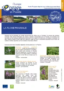 La flore prairiale