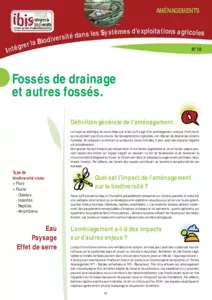 Fossés de drainage et autres fossés