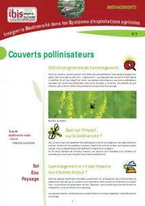 Couverts pollinisateurs