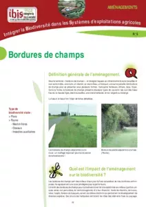 Bordures de champs