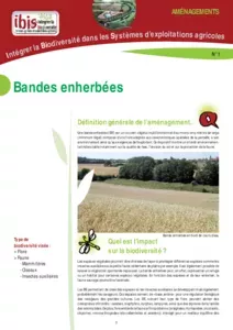 Bandes enherbées