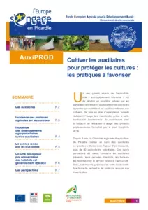 AuxiProd : Cultiver les auxiliaires pour protéger les cultures : les pratiques à favoriser