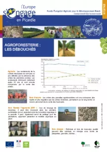 Agroforesterie : Les débouchés