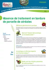 Absence de traitements en bordure de parcelle de céréales