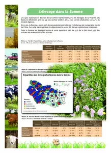 L'élevage dans la Somme