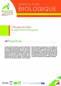 L'élevage de boeuf en agriculture biologique