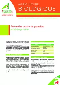 Prévention contre les parasites en élevage bovin bio