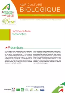 Pomme de terre bio, conservation