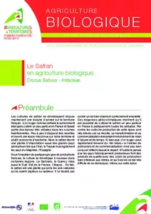 Le safran en agriculture biologique