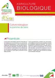 Culture biologique de la pomme de terre