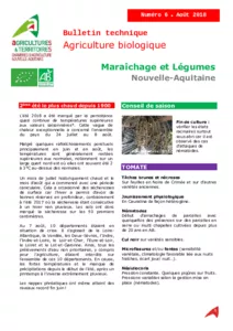 Bulletin technique Agriculture biologique Maraîchage n°6 - Aout 2018