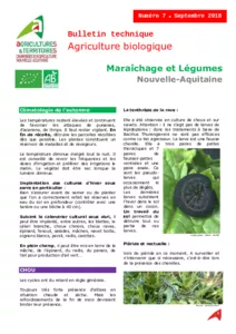 Bulletin technique Agriculture biologique Maraîchage n°7 - Septembre 2018