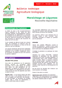 Bulletin technique Agriculture biologique Maraîchage et légumes n°8 - octobre 2018