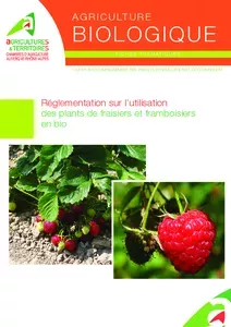 Réglementation sur l'utilisation des plants de fraisiers et framboisiers en bio