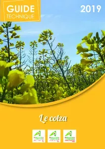 Guide technique 2019 : LE COLZA