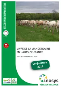 Vivre de la viande bovine en Hauts de France - Résultats économiques 2018