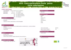 Cave particulière : forte pente forte valorisation