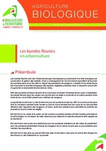 Les bandes fleuries en arboriculture