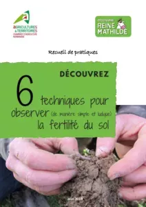 6 techniques pour observer la fertilité du sol