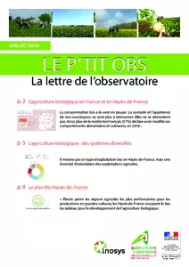 Le P’tit Obs, la lettre de l’observatoire - Juillet 2019