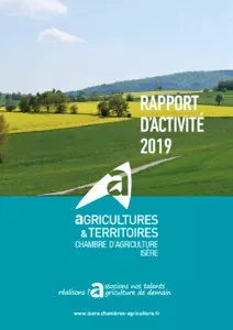 Rapport d'activité 2019