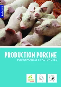 Production porcine 2020