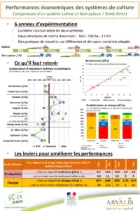 Performances économiques des systèmes de culture Comparaison d’un système Labour et Non-Labour / Semis Direct